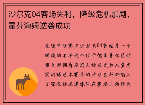 沙尔克04客场失利，降级危机加剧，霍芬海姆逆袭成功